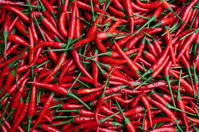 red-chillies